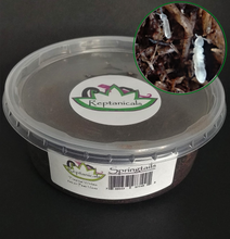 Load image into Gallery viewer, 8oz Peat Springtail culture Reptanicals