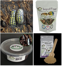 Load image into Gallery viewer, A gestroi isopods for sale with Isopod Feast Springtail feast and tropical Springtails  Reptanicals