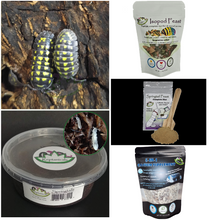 Load image into Gallery viewer, U-Pick Bundle Armadillidium gestroi Isopods Reptanicals.com bio-active supply reptile care