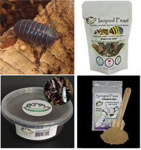 Load image into Gallery viewer, A vulgare common roly poly U-Pick Bundle Sale Reptanicals.com