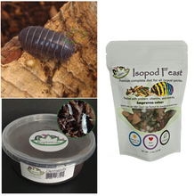 Load image into Gallery viewer, A. vulgare woodlouse roly poly Isopods and tropical white springtails with Isopod Feast for Sale Reptanicals.com