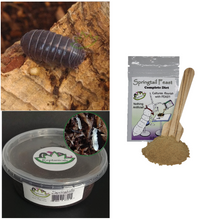 Load image into Gallery viewer, A. vulgare Isopods and tropical white springtails with Springtail Feast for Sale Reptanicals.com