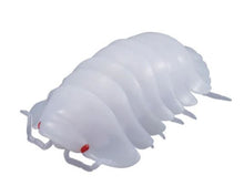 Load image into Gallery viewer, Albino Porcellio laevis isopod figurine for sale