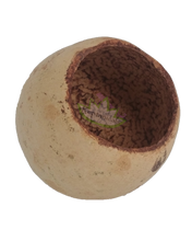 Load image into Gallery viewer, bell cup hides