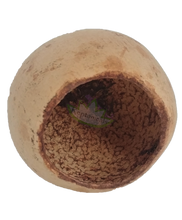 Load image into Gallery viewer, bell cup hut