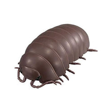 Load image into Gallery viewer, Dangomushi 04 by Bandai brown vulgare isopod for sale