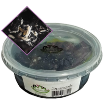 Load image into Gallery viewer, Reptanicals 8oz Tropical White Springtails on Charcoal
