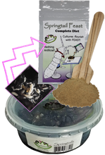 Load image into Gallery viewer, Charcoal Springtails with Feast from Reptanicals
