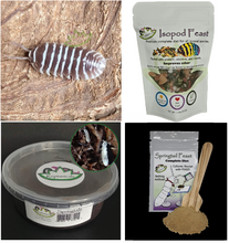Load image into Gallery viewer, Chocolate Zebra Isopods U-Pick Bundle