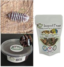 Load image into Gallery viewer, Reptile clean up crew for sale bioactive supplies