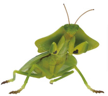 Load image into Gallery viewer, Choeradodis stalii Hooded Mantis figure educational toys for sale reptanicals