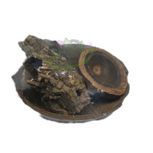 Load image into Gallery viewer, CocoHut trio natural tank decor for reptiles