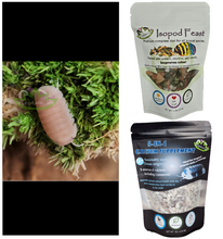 Load image into Gallery viewer, Cubaris murina Papaya Isopods for sale with food and calcium