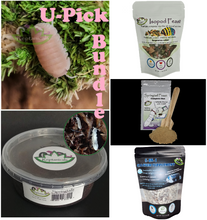 Load image into Gallery viewer, Cubaris murina Papaya Isopod U-Pick Bundle