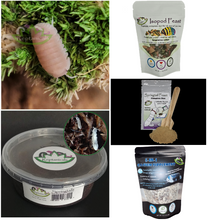 Load image into Gallery viewer, Cubaris murina Papaya Isopods for sale Reptanicals with food and calcium supplement