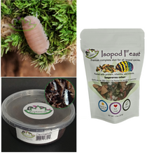 Load image into Gallery viewer, Cubaris murina Papaya Isopods for sale with isopod food and springtails
