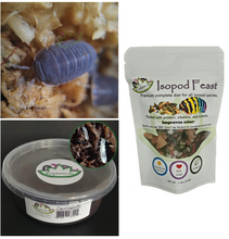 Load image into Gallery viewer, Cubaris murina Isopods and tropical white springtails for sale Reptanicals Bundle with Isopod feast food for isopods bioactive supplies