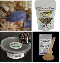 Load image into Gallery viewer, Cubaris murina U-Pick bundle for sale Reptanicals