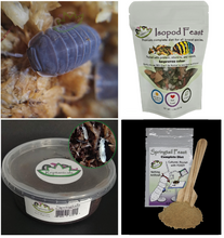 Load image into Gallery viewer, Little Sea Isopods (Cubaris murina) : U-Pick Bundle