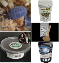 Load image into Gallery viewer, Cubaris murina Isopods U-Pick Bundle for sale Reptanicals