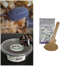 Load image into Gallery viewer, Cubaris bio-active kit with springtails and springtail food