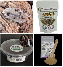Load image into Gallery viewer, Isopod Gift Set with Springtails and Food Reptanicals Isopod Bundle
