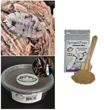 Load image into Gallery viewer, Dalmatian isopods for sale Reptanicals Porcellio scaber Springtails and Springtail Feast
