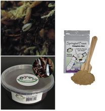 Load image into Gallery viewer, Live Dart frog food