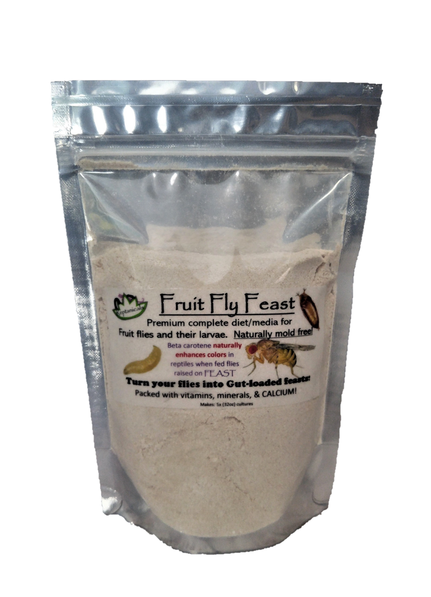Fruit Fly Feast Reptanicals