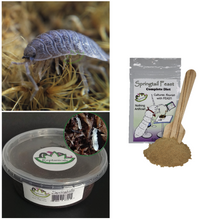 Load image into Gallery viewer, Giant Canyon isopods Springtails and Springtail Food Reptanicals U-Pick Bundle