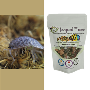 Giant Canyon isopods for sale Reptanicals.com with Isopod Feast Isopod food