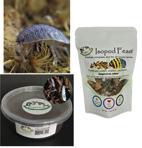 Giant Canyon isopods for sale Reptanicals.com Bioactive supply kit Isopod Gift Set for beginners