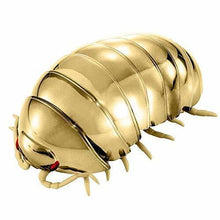 Load image into Gallery viewer, Gold Dangomushi for sale Reptanicals