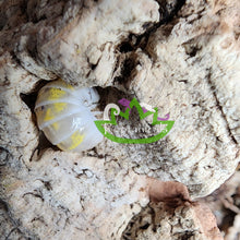 Load image into Gallery viewer, Japanse Magic Potion for sale Reptanicals