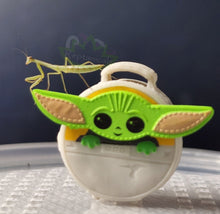 Load image into Gallery viewer, Chinese Praying Mantis L3-L4