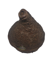 Load image into Gallery viewer, large monkey pod