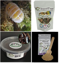Load image into Gallery viewer, Japanese Magic Potion Isopods with Springtails and Food