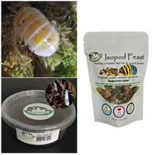 Load image into Gallery viewer, Magic Potion Isopods with Isopod food and springtail culture for sale