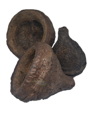 Load image into Gallery viewer, Monkey Pods