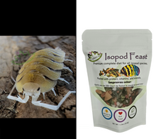 Load image into Gallery viewer, Porcellio bolivari with food for sale free shipping