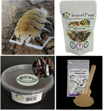 Load image into Gallery viewer, Isopod gift set for sale Porcellio bolivari large cool isopods