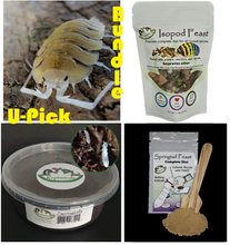 Load image into Gallery viewer, Porcellio bolivari U- Pick bundle by Reptanicals Isopods for sale with free shipping