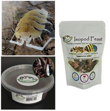 Load image into Gallery viewer, P. bolivari isopods for sale with springtails and Reptanicals Isopod Feast