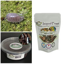 Load image into Gallery viewer, Porcellio laevis (Wild Type) : U-Pick Bundle
