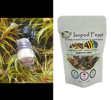 Load image into Gallery viewer, Panda King Isopods for sale with isopod feast Reptanicals