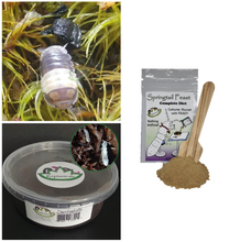 Load image into Gallery viewer, Panda King Isopod Springtails and springtail food U-Pick Bundle Make your own isopod kit