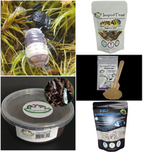 Load image into Gallery viewer, Reptanicals Panda King U-Pick Bundle Cubaris Isopod supllies