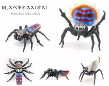 Load image into Gallery viewer, Male speciosus spider figurine for sale