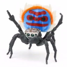 Load image into Gallery viewer, M. speciosus male peacock spider figurine for sale