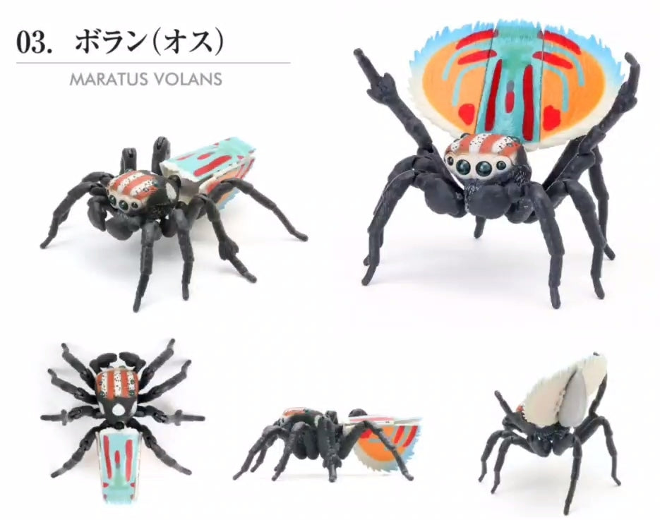 Spider on sale male toy